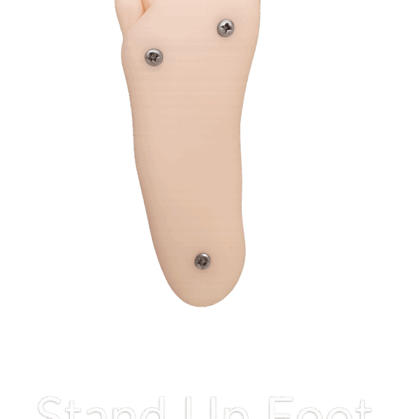 Stand Feet